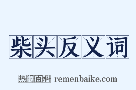 柴头反义词是什么意思的图片